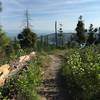 The upper section of the Notch Trail has many great views. One of a few good spots to see Foys Lake.