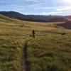 After crossing an open field littered with lava rocks and cow poo, the trail's about to get really fast.