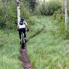 Climbing Ricks canyon. Early spring after the rains.