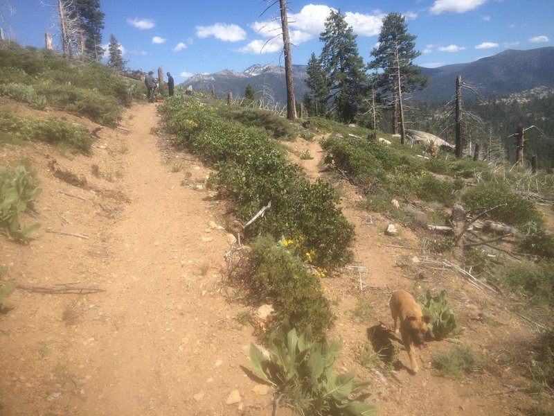 Valley View Trail