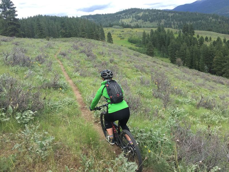Cruising along the Buck Lake Trail