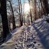 XC skiers also enjoy Hickory Trail when enough snow falls.