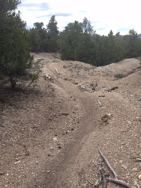 One of the "whoops" near the top of the trail.