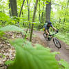 On the heart of the Collinsville descent.
