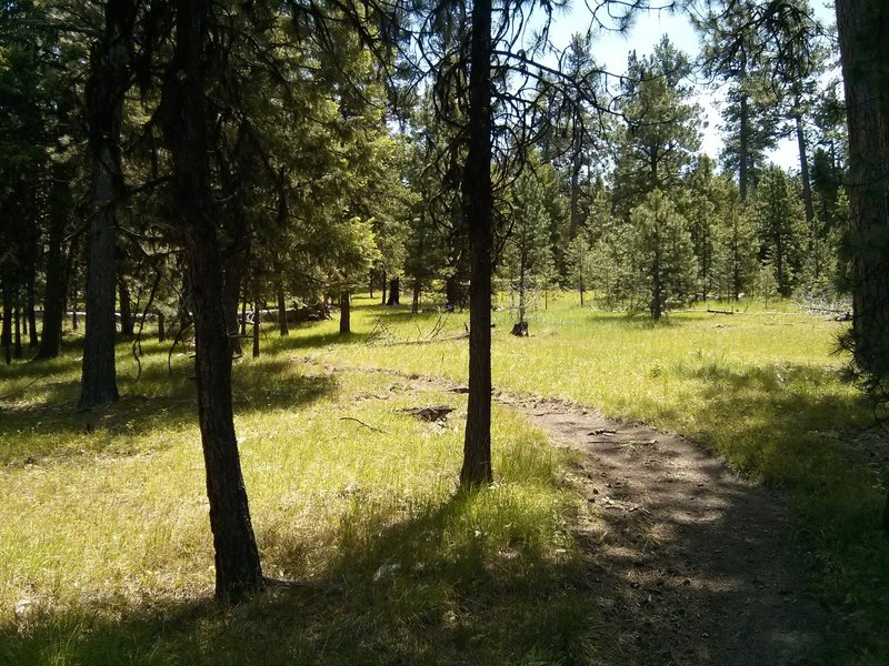 Lower Lookout Mountain Trail