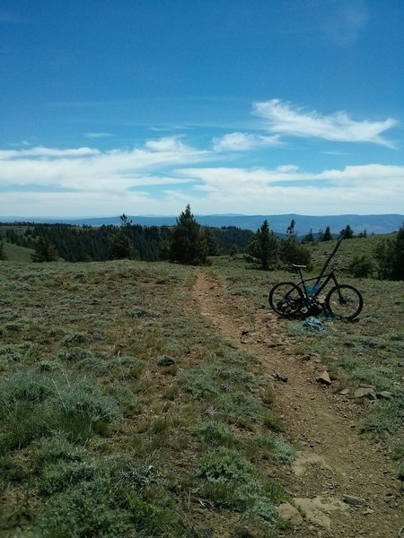 Independent Mine Trail