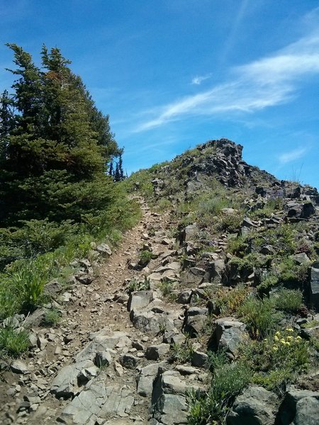 Rocky descent section on the Lower Lookout Mountain trail.
