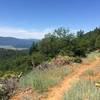 Amazing views of American Valley on the newest section of the Mt. Hough trail system!