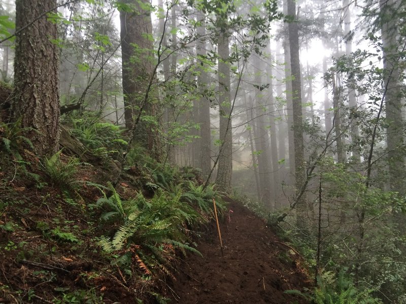 Lacks Mountain Trail