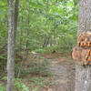 Creative trail sign