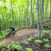 Loving the loam on the lower reaches of Down Dogger trail.