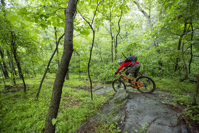 croom mountain bike trails