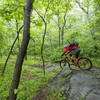 Dropping into the green on the Emmitsburg advanced trail.