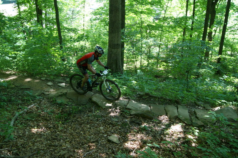 mohican 100 mtb