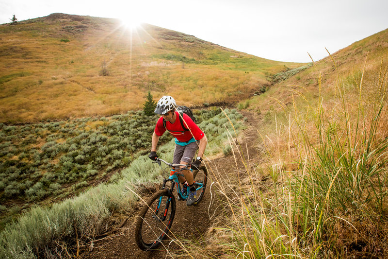 Croy Creek Loop Mountain Bike Trail, Hailey, Idaho