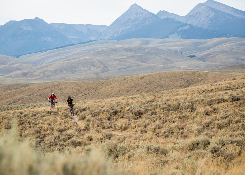 Slump Gulch Loop Mountain Bike Trail Salmon Idaho