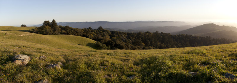 Looking south