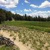 High meadow off Tahoe Rim Trail