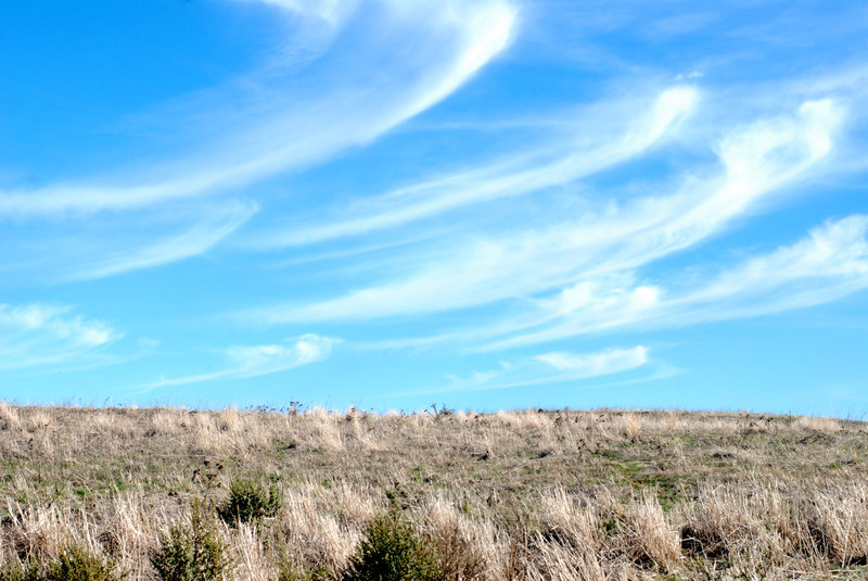 Russian Ridge