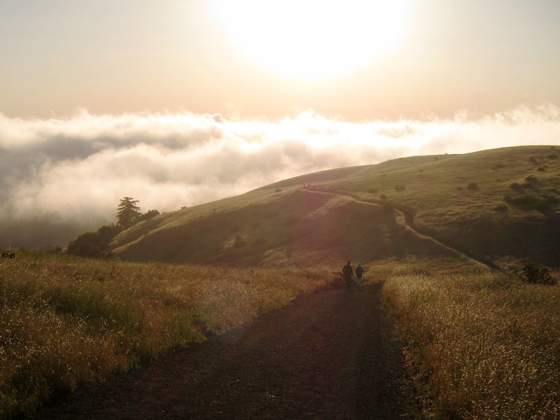 Borel Hill