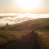 Borel Hill