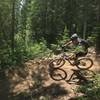 Riding through a smooth bermed corner on Lower Basin DH