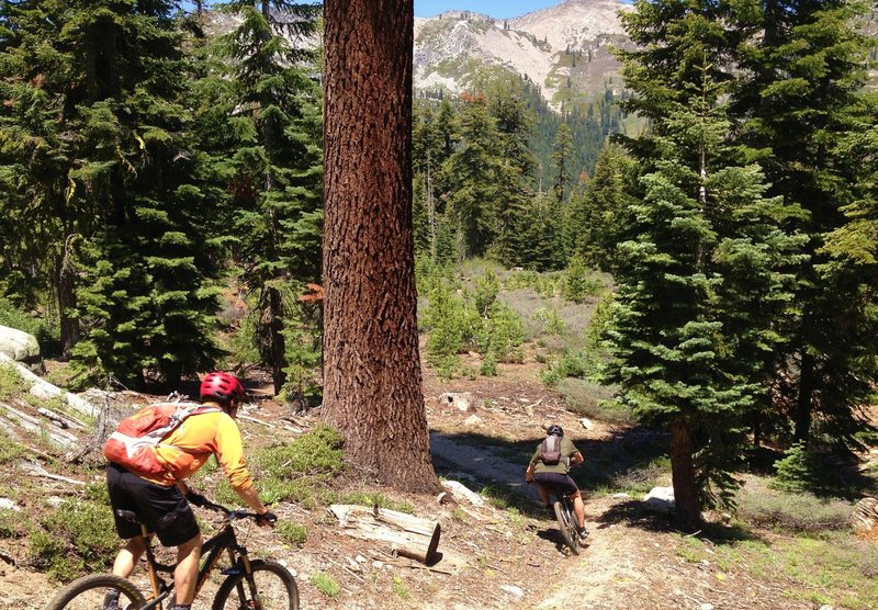 Pony Express (XP) Trail