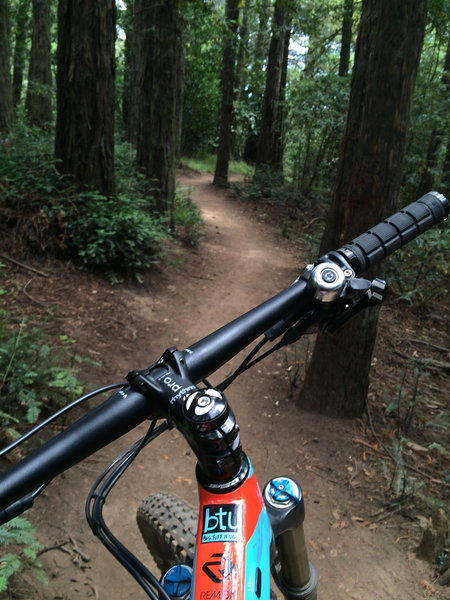 joaquin miller park mountain biking