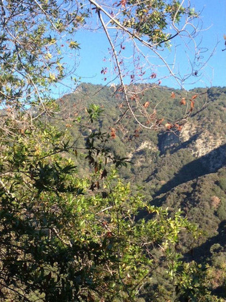 Winter Creek Loop