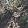 Typical trail conditions along Upper Winter Creek Trail section.  Periodic technical sections keep things interesting.