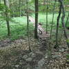 The red boardwalk bridge, at the bottom of the Brown Trail.