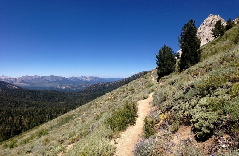 The climb up from Armstrong Pass.