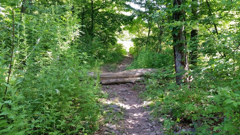 The one obstacle on the Fence Line Trail.