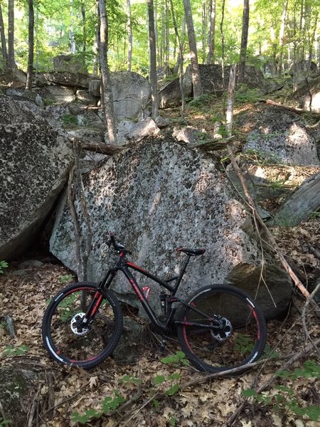 bear brook mtb