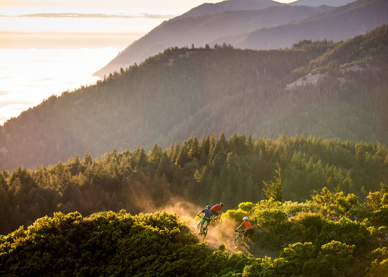 paradise royale mountain bike trail