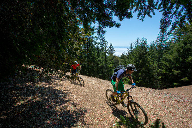 Riding the ridge along the high point of the Paradise Royale loop.