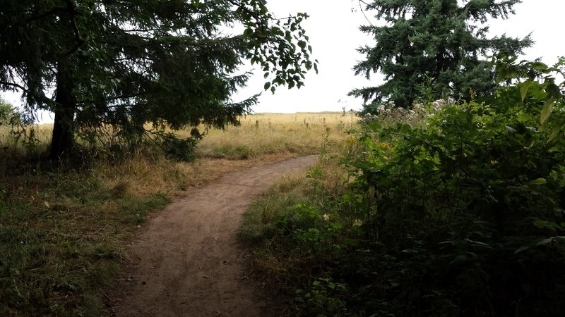 South Trail