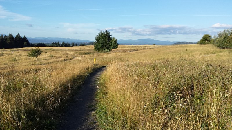 Pipeline Lane