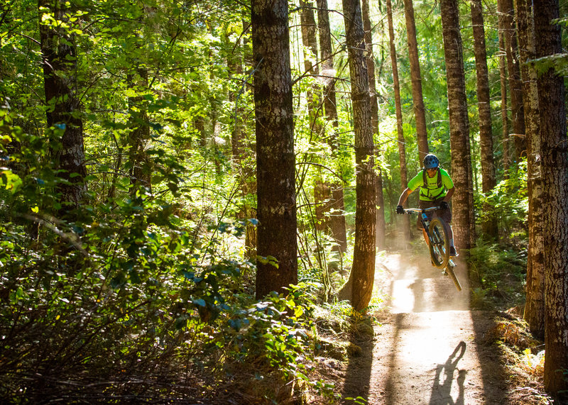 High Baller trail has plenty of bike-optimized features for maximizing play.