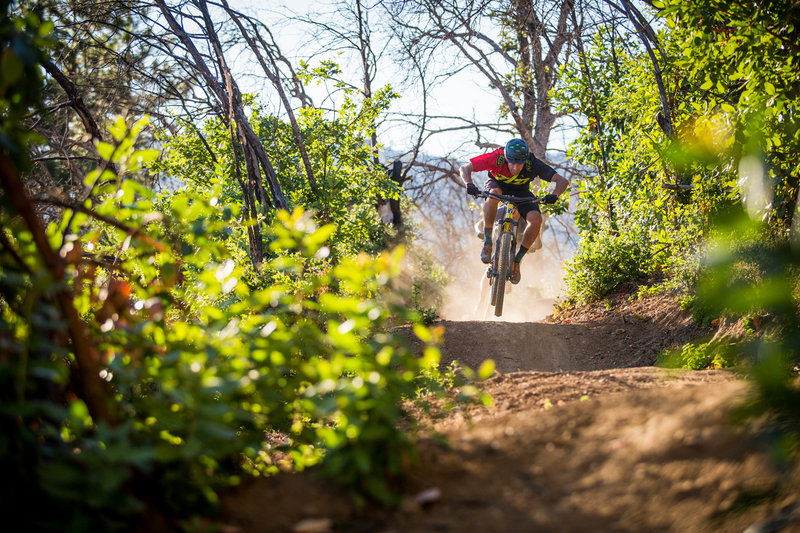 Pay Dirt trail is all fun and flow; a super playful trail overall.