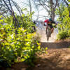 Pay Dirt trail is all fun and flow; a super playful trail overall.