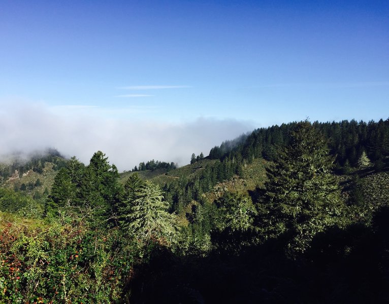 Near the top of Harkins Ridge climb looking across to Whittemore Gulch