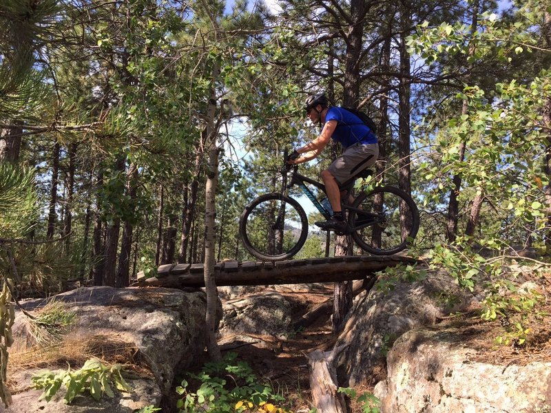 pine hills mountain bike trail