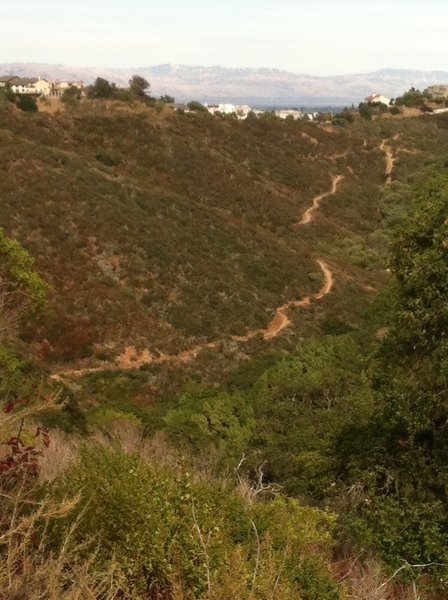 Rambler Trail