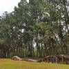 Playground at Hacienda Sabanera MTB