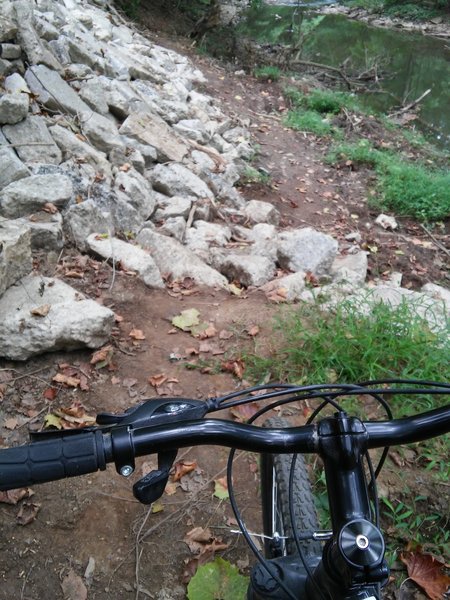 Some rocks to navigate on the Delaney Trail at Bridgeport Park