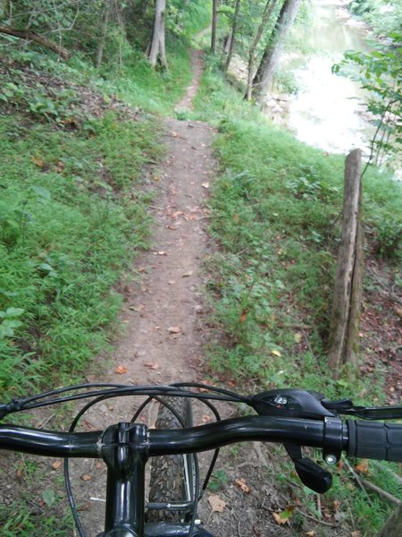 Delaney Trail at Bridgeport Park