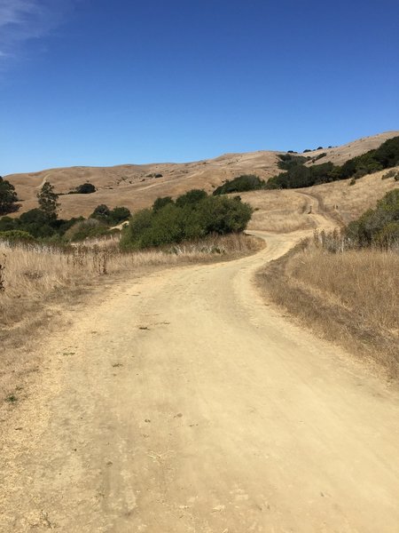 Open Roads on the Wildcat Creek Trail