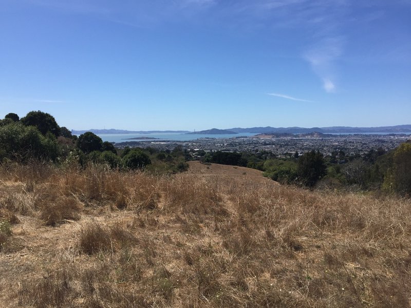 Golden Gate Bridge as seen from the Wildcat Canyon Loop