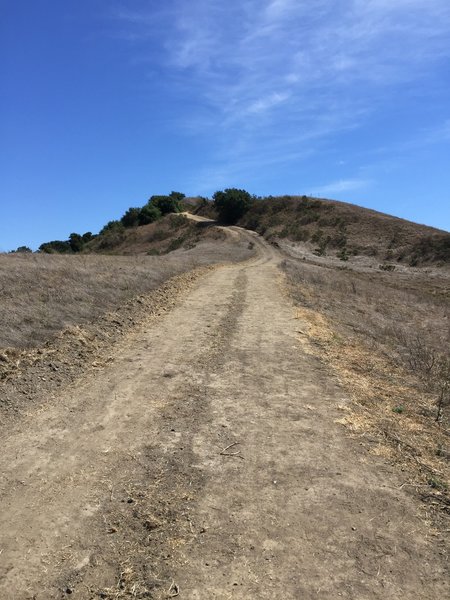 Last major climb on the San Pablo Ridge Trail!